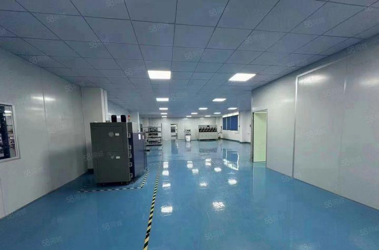 9元价格可谈桥头原房东独院厂房1000平精装修无尘车间可分租