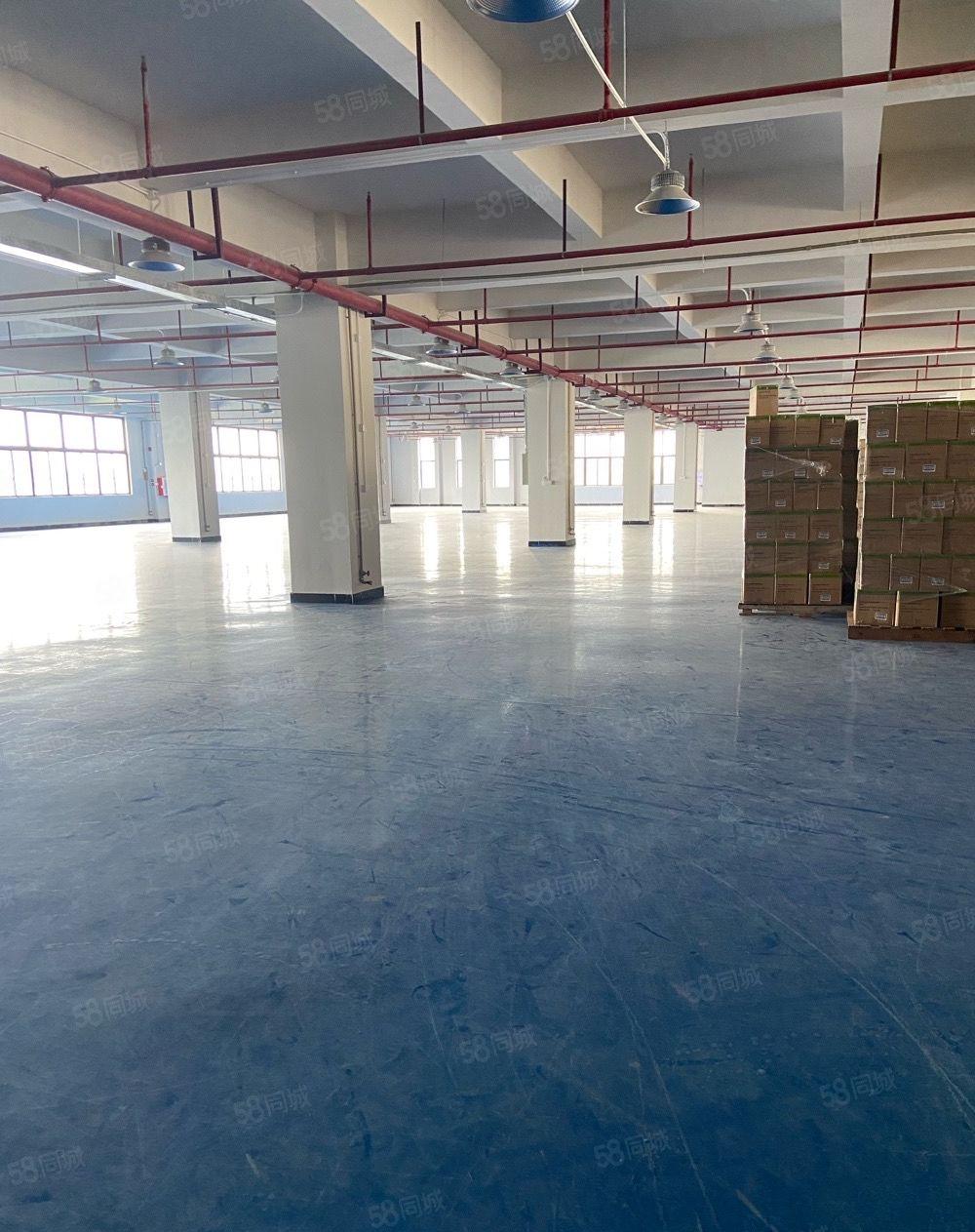 标准独院厂房分租三楼1800平方水电线路齐全，工业集聚地