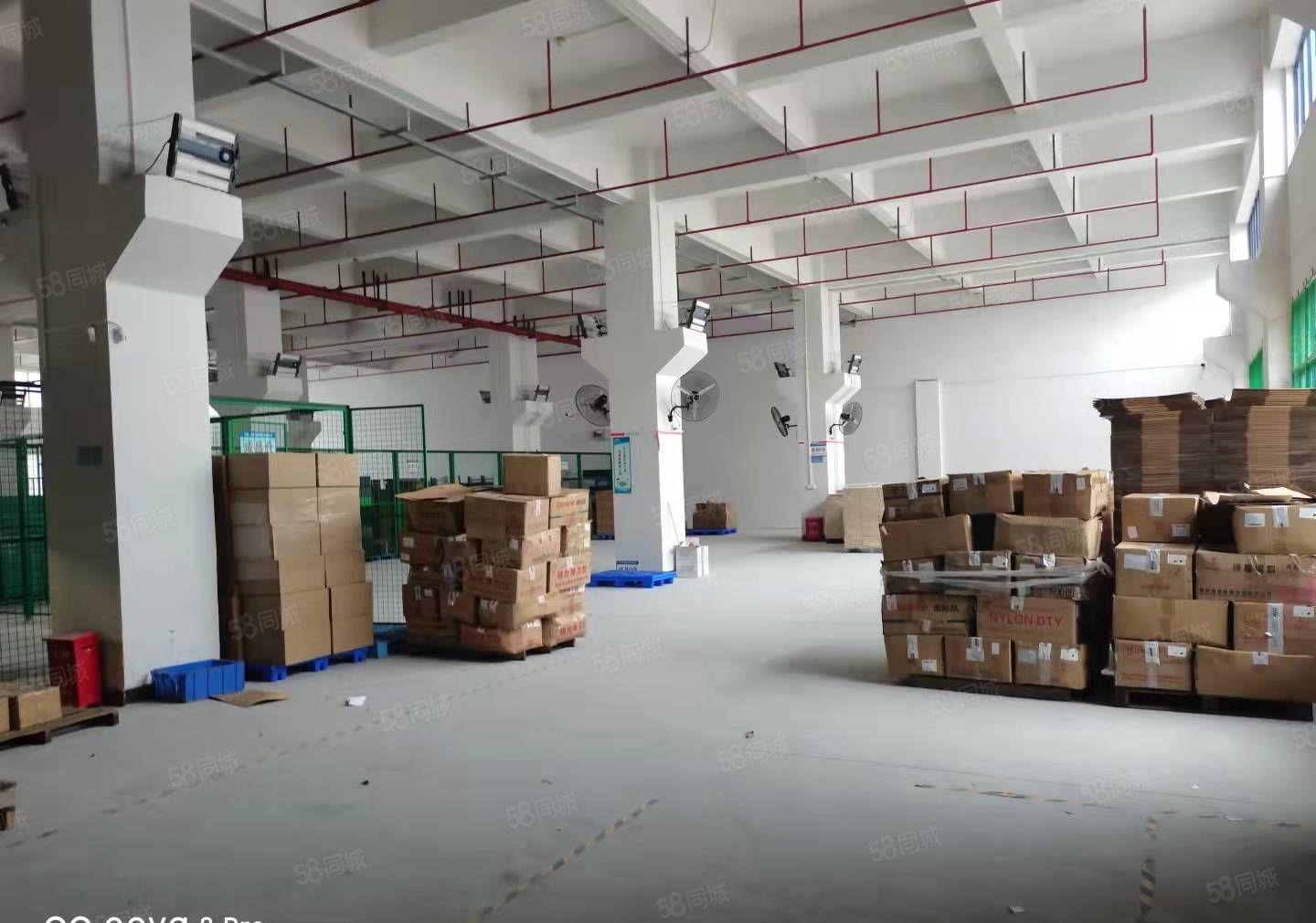 桥头镇新出厂小面积厂房分租一二楼1000平方，一楼高度7米