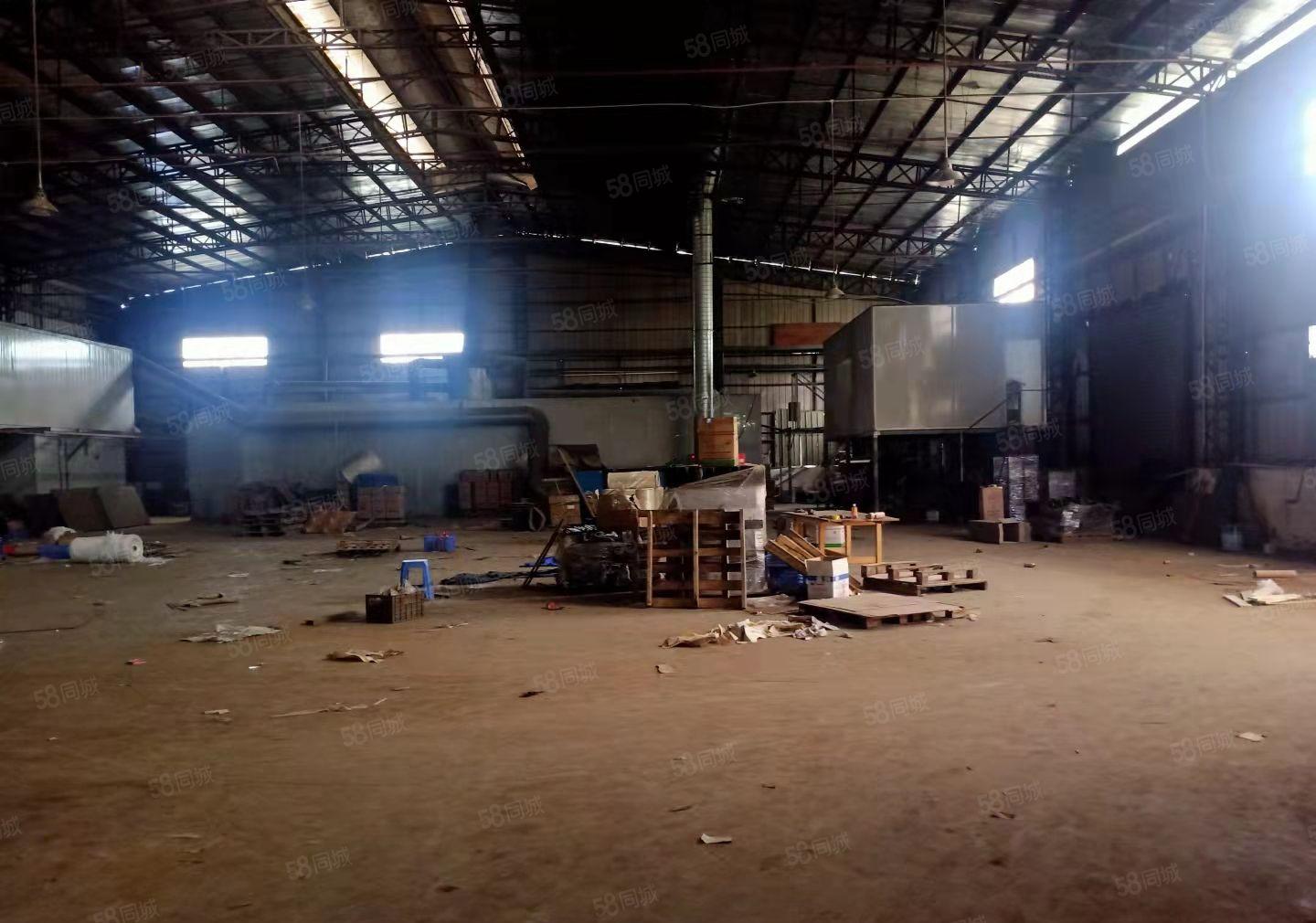 桥头镇个人原房东独门独院红本钢构300起分可办环评空地超大