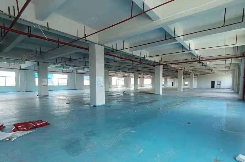 桥头镇工业园分租楼上整层带地坪漆消防喷淋厂房1300平方