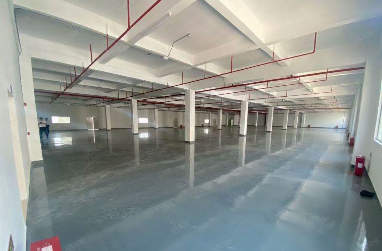 桥头镇高速出口旁原房东标准独院9800平，带国有双证低价出租