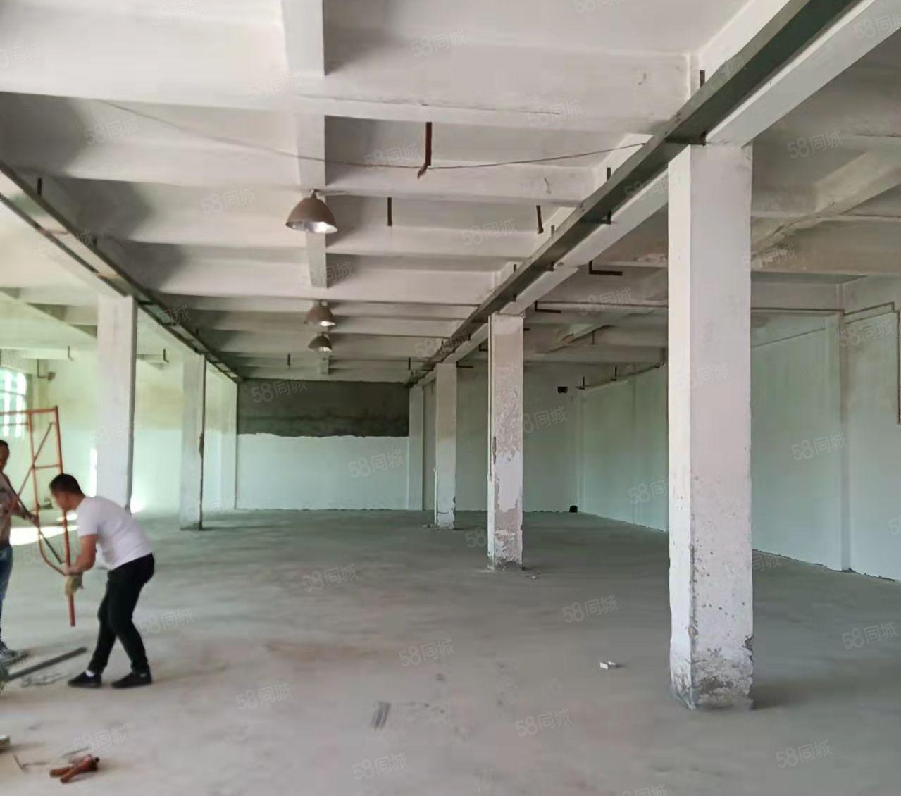 桥头新出小面积标准一楼800平，交通便利，远离居民东部快线旁