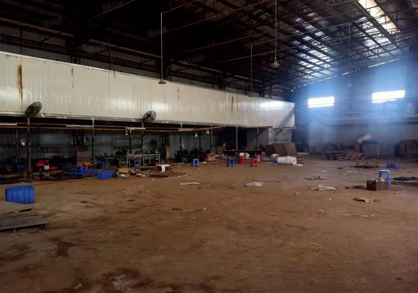 桥头镇个人原房东独门独院红本钢构300起分可办环评空地超大