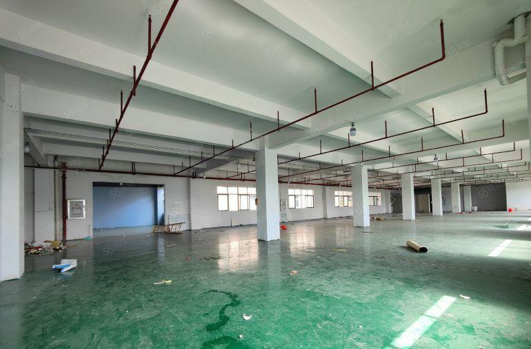 桥头新出原房东标准独院，形象好带全新地坪漆空地大二类消防喷淋