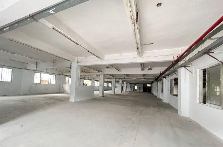 桥头镇12元原房东独门独院 山脚下两层3200方