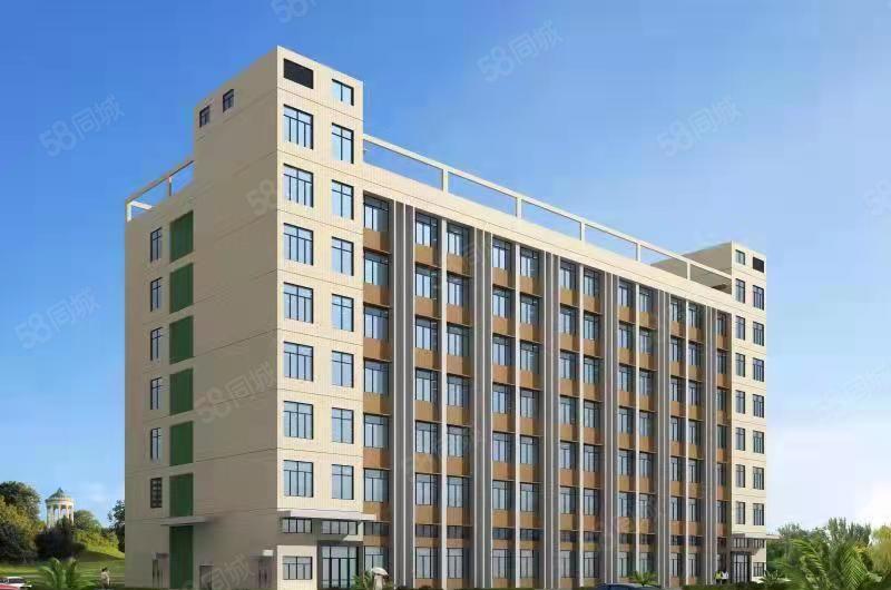 桥头大洲个人原房东带牛角现成卸货平台两部五吨货梯丙二类消防