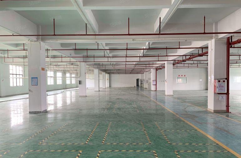 桥头镇大洲村精装修楼上厂房出租3000平电子电器组装厂房出租