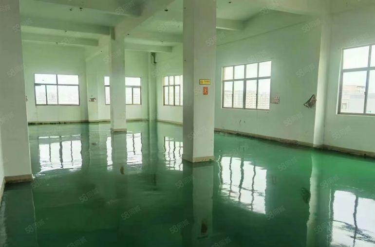 东莞桥头原房东新租厂房4000平方，价格实惠，拎包入驻