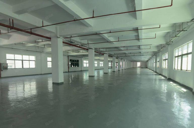 低价12元桥头厂房出租1100平一楼仓库300平起租