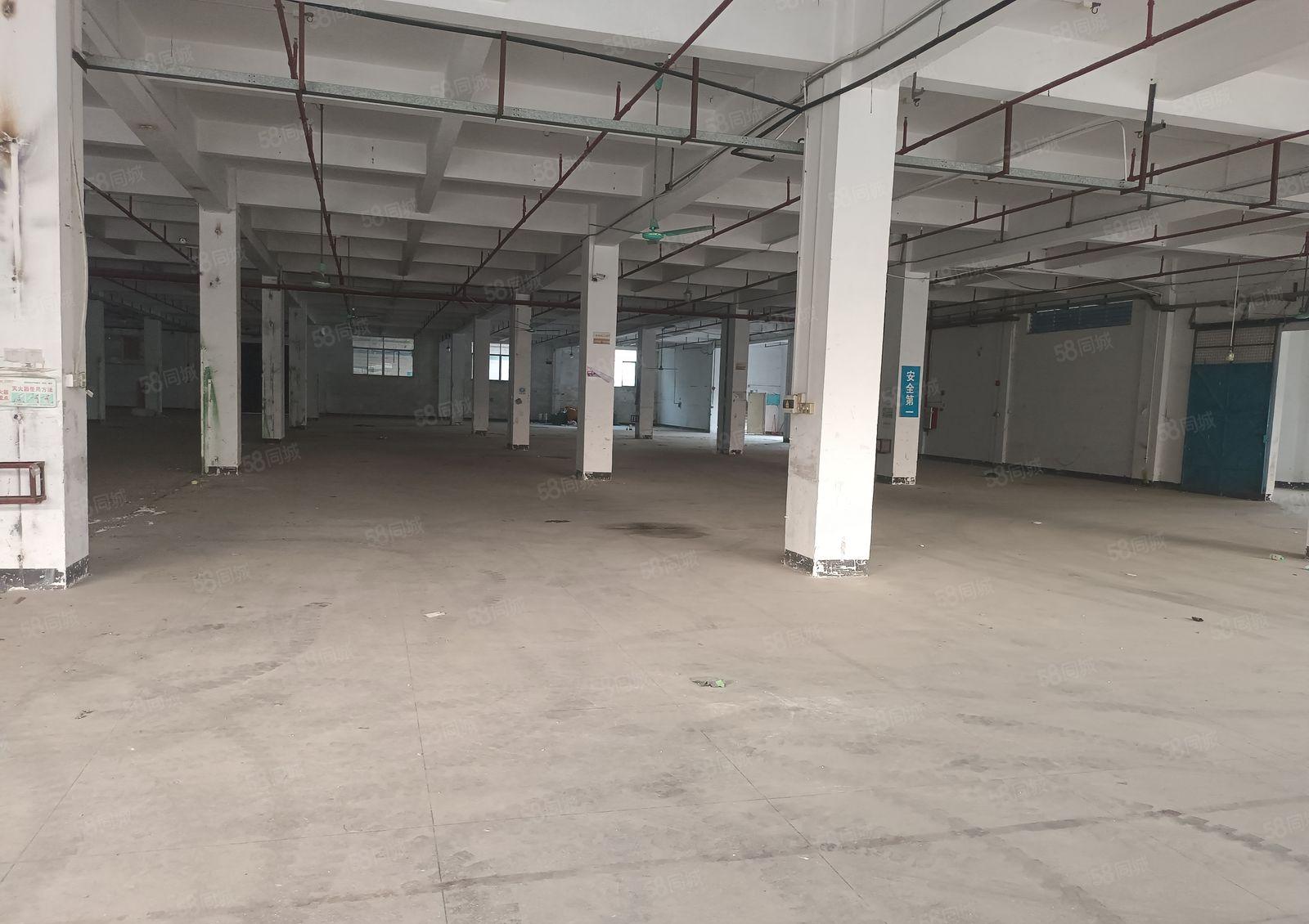 桥头新出标准厂房小面积860平方，滴水6米，低价出租