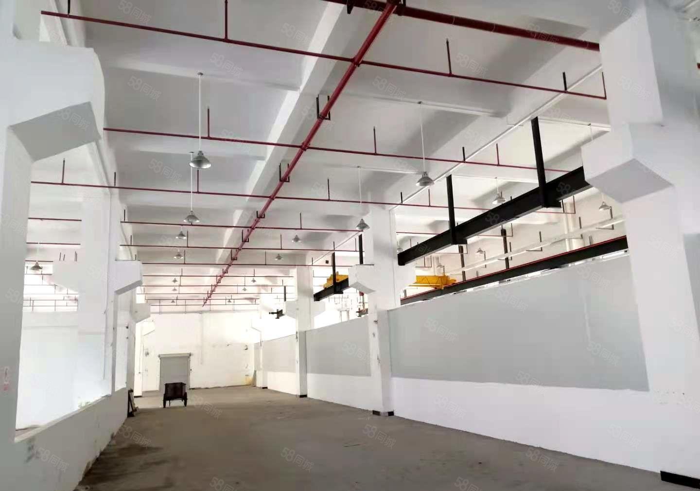 桥头镇原房东独院标准厂房一楼，主线到车间，位于成熟工业区