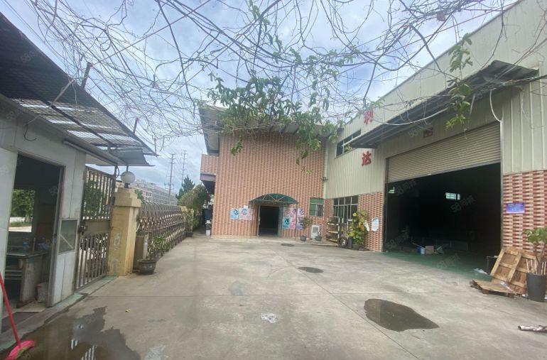 桥头镇李屋村新出单一层独门独院厂房2000平方米