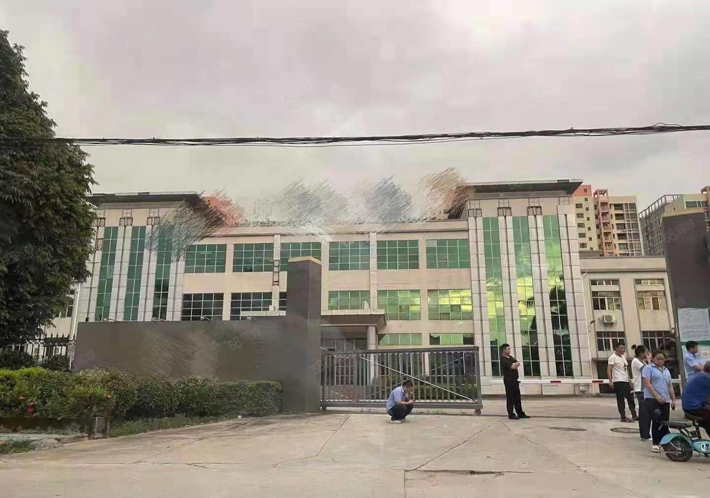 上市公司厂房总面积38000平米桥头镇新出红本国土双证