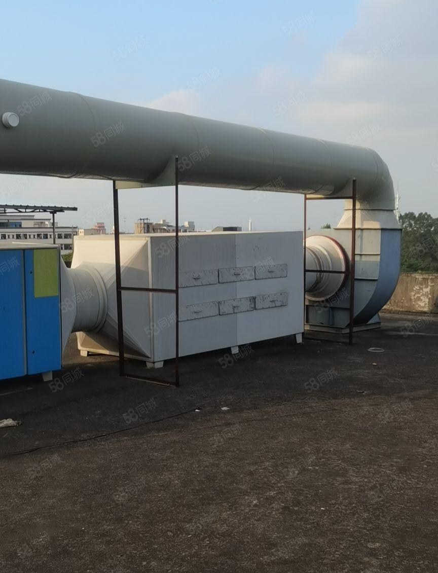 东莞桥头砖墙到顶单一层带牛角钢构空地2000平主干道旁