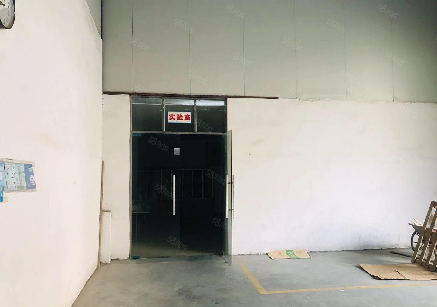 桥头镇工业园园区新出独栋钢构厂房800平方水电齐全工业用地