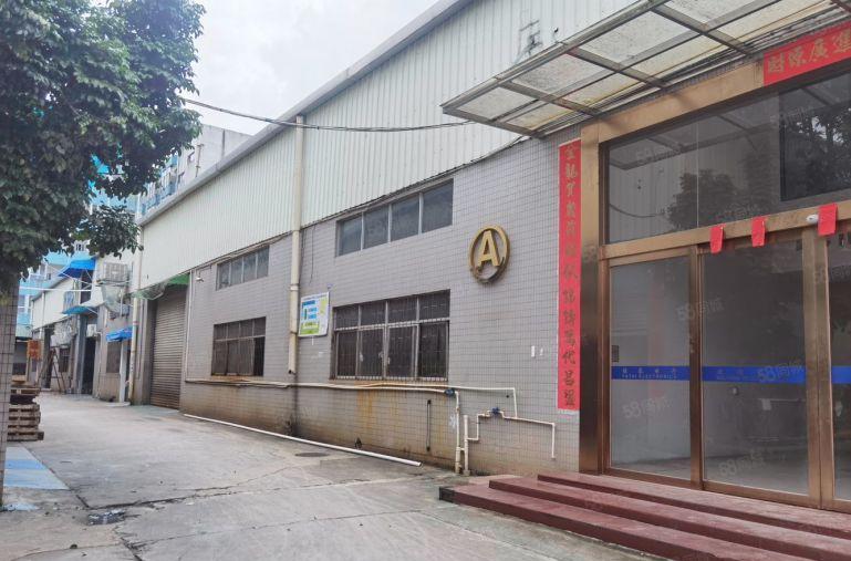 桥头工业区原房东钢结构厂房出租1000平方滴水7米现成办公室