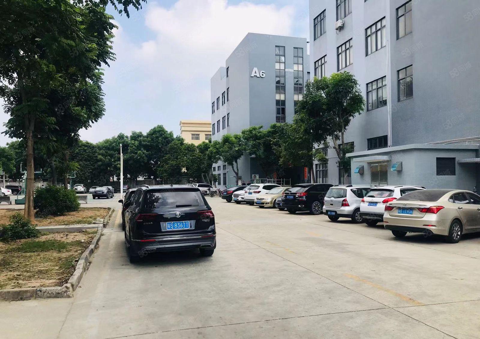 桥头镇新出楼上现成装修电子厂房，小面积800平方，现成装修！