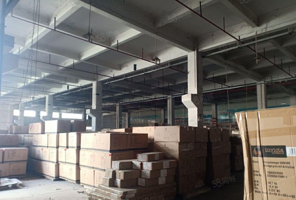 桥头镇新出上市公司形象独院厂房8180平方，厂房面积4850