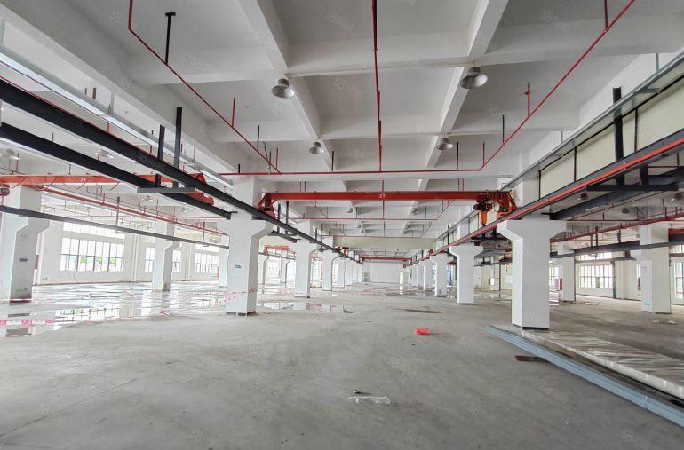 原房东标准一楼5百到1000起分 厂房内有现成8台免费使用行