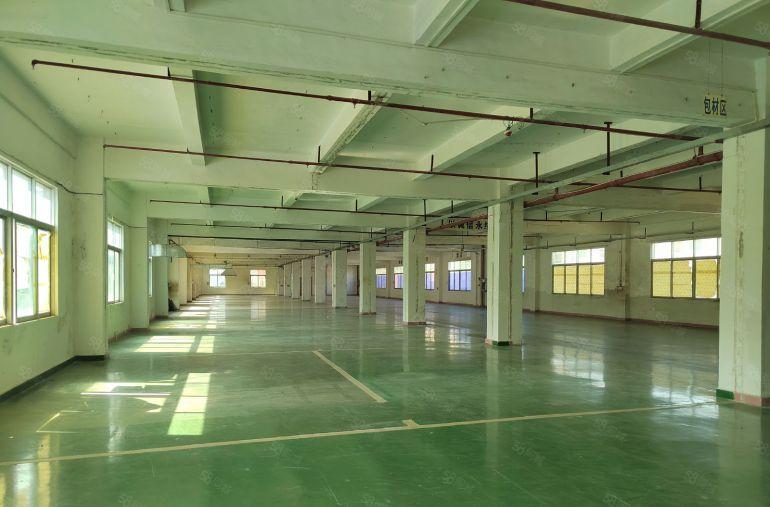 桥头镇大洲村 原房东标准独院13800平厂房出租 带装修办公