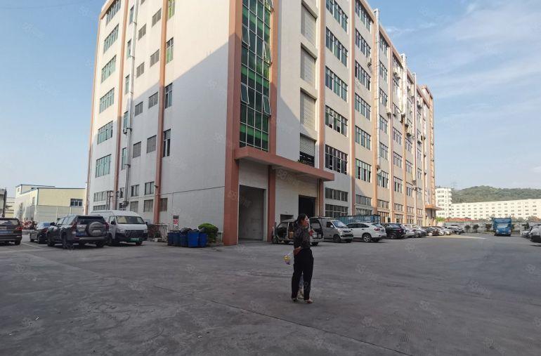 原房东无公摊8元出租桥头企石横沥5千平可分一楼仓库厂房出租