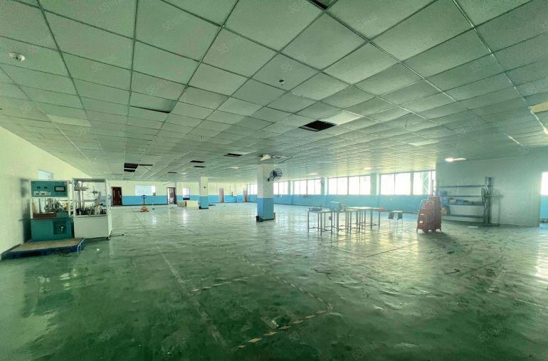 桥头原房东独院厂房出租 空地大 精装修 适合注塑 模具 五金