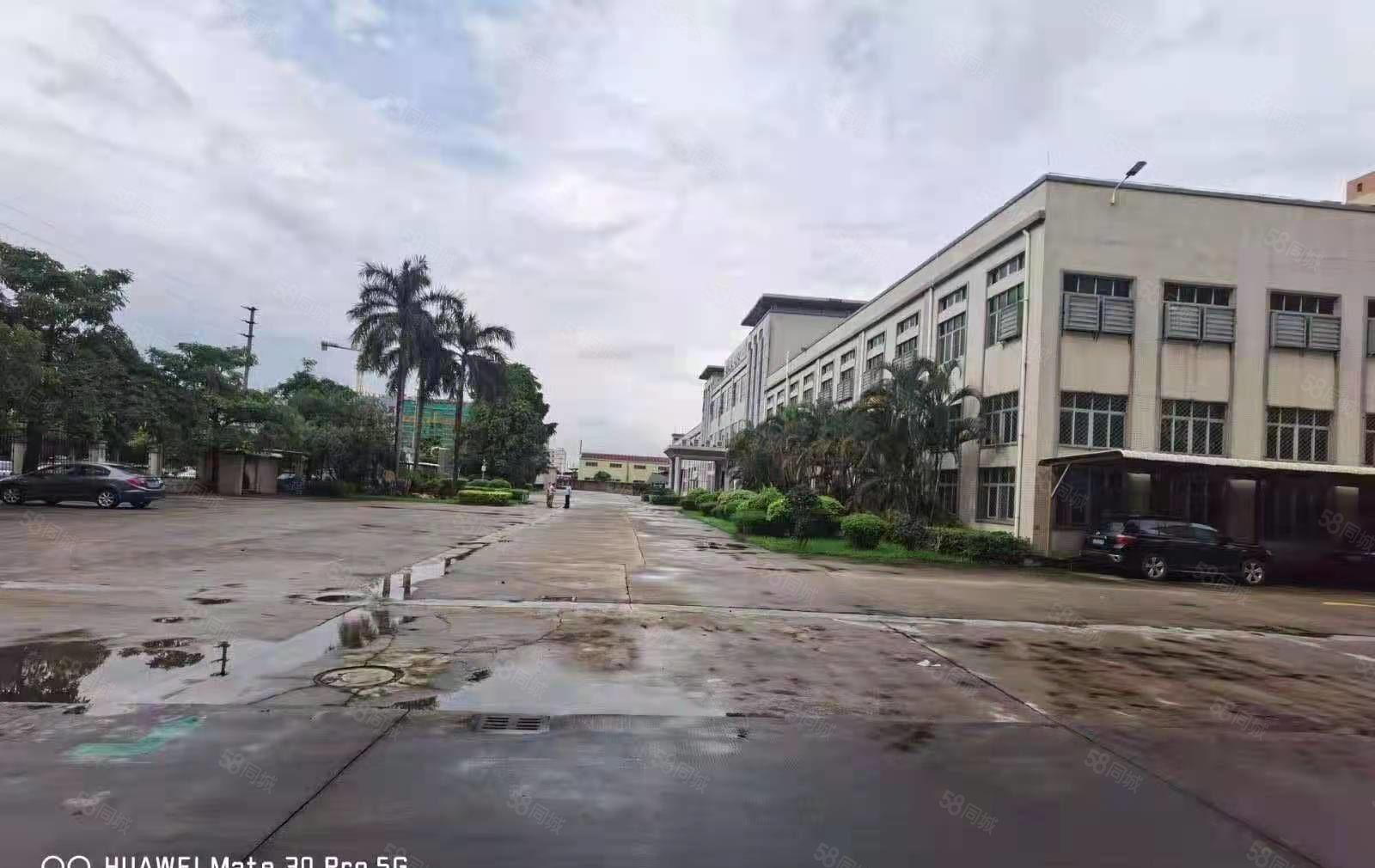 上市公司厂房总面积38000平米桥头镇新出红本国土双证