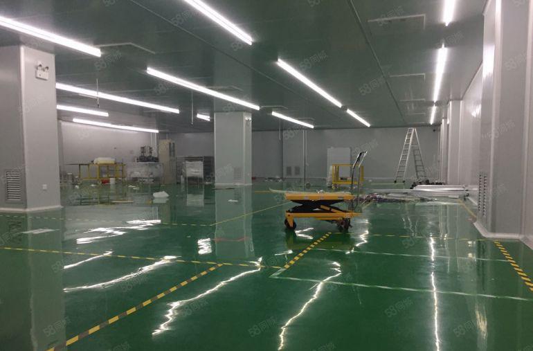 原房东标准厂房 无公摊 实际面积出租 价格可聊 看上就租