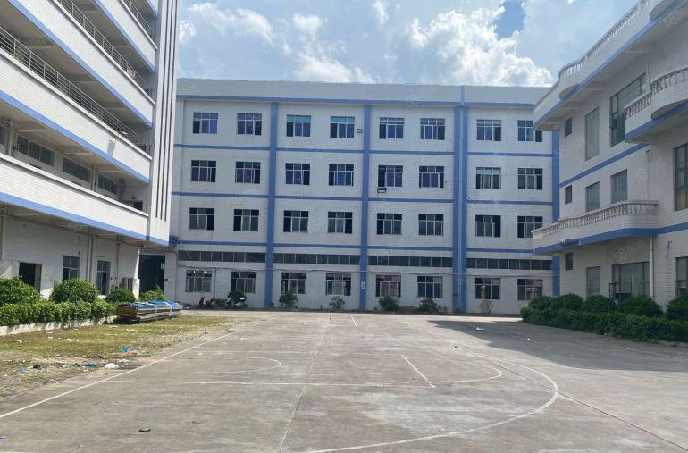 桥头镇新出两栋四层红本独院厂房出租带独立办公室。