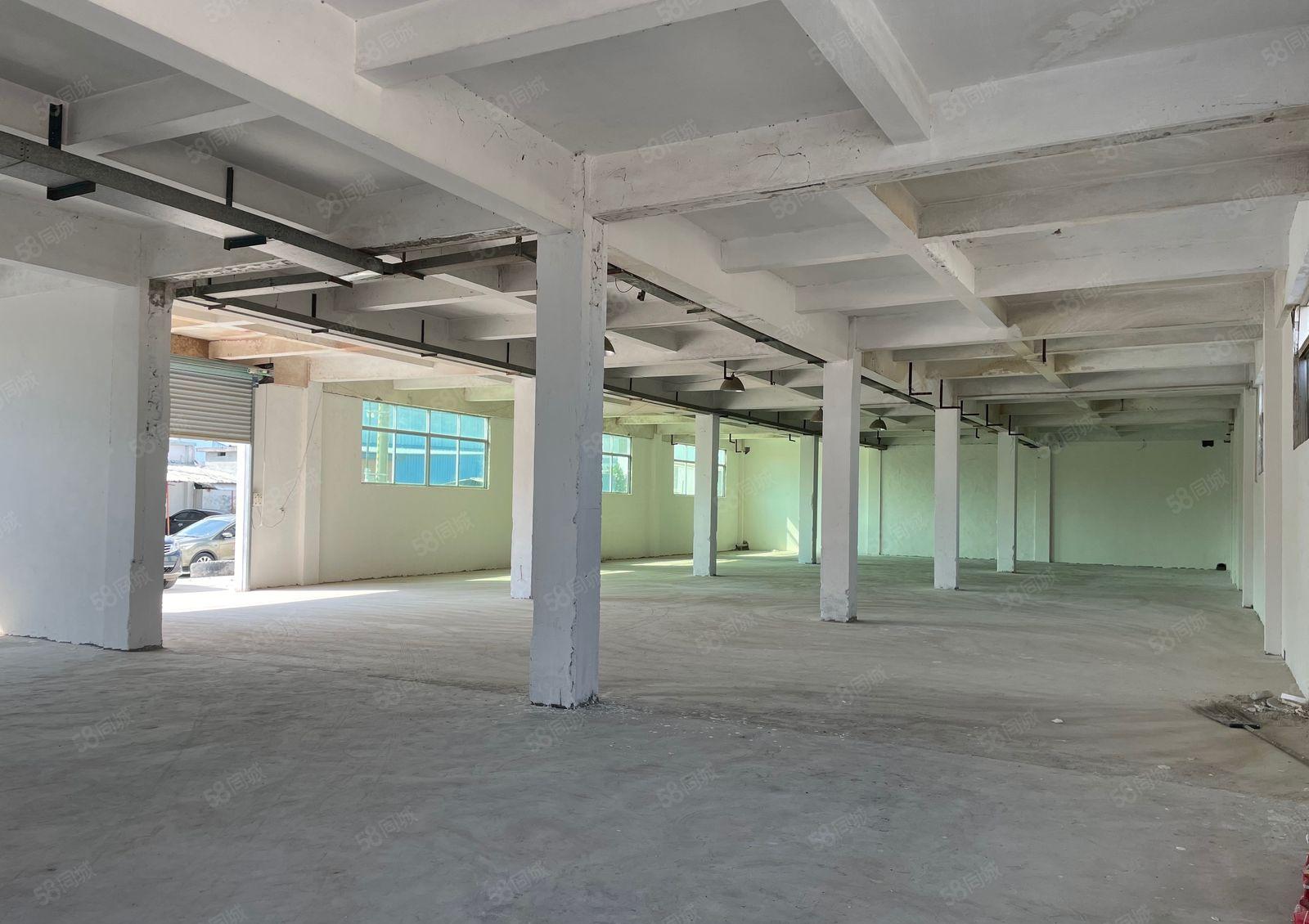标准厂房一楼带装修，水电齐全