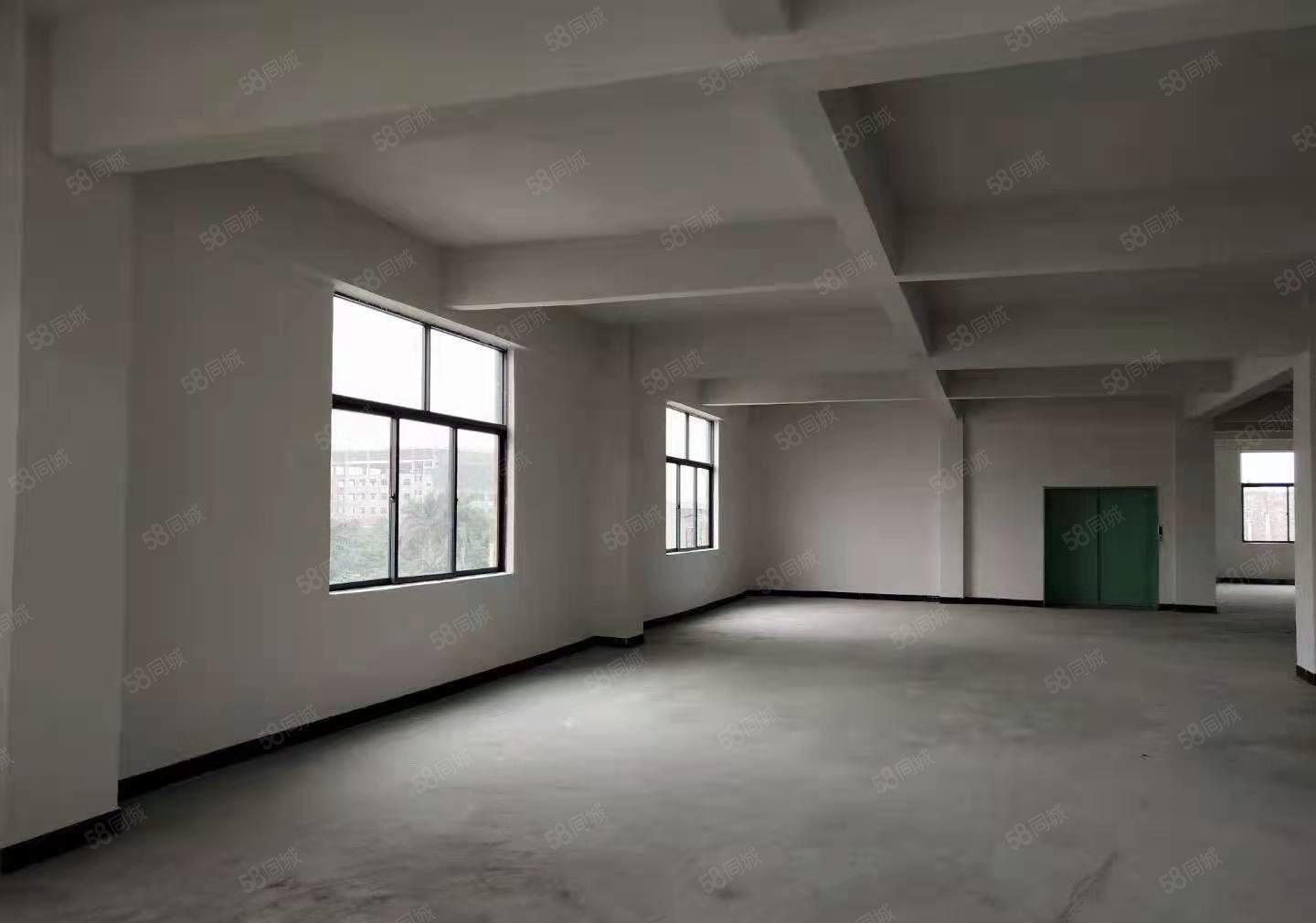 桥头镇原房东独院厂房二楼1950平方，园区空地超大