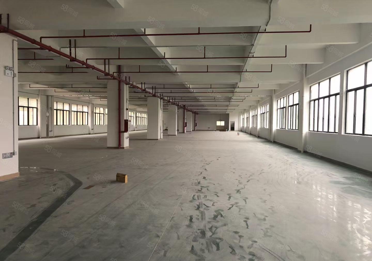 桥头镇东深路成熟工业区，3楼一整层2180平方，电按需