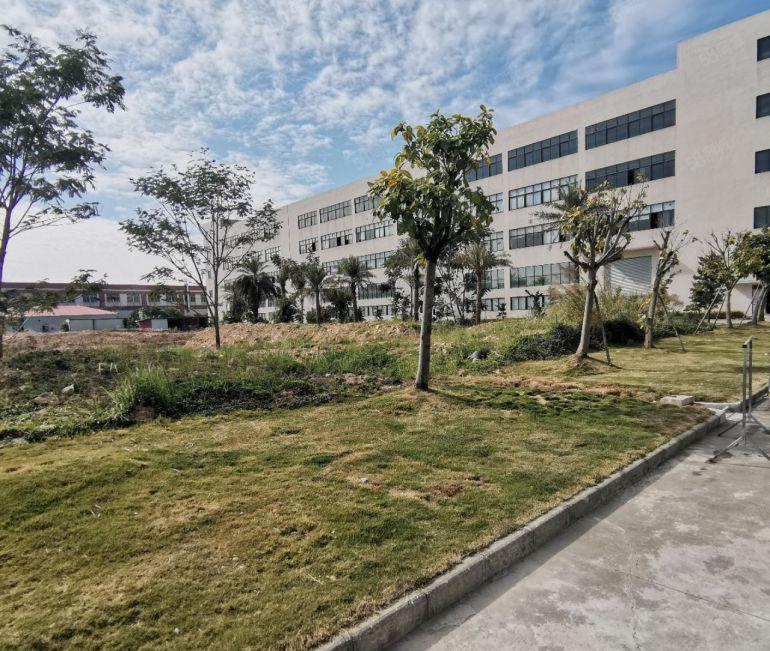 15元每平 一手房东超长免租期  双证齐全 超大空地 可分租