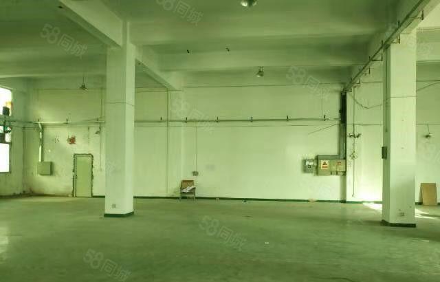 东坑 骏达工业园 一楼 厂房 800平方,价格便宜，急租!