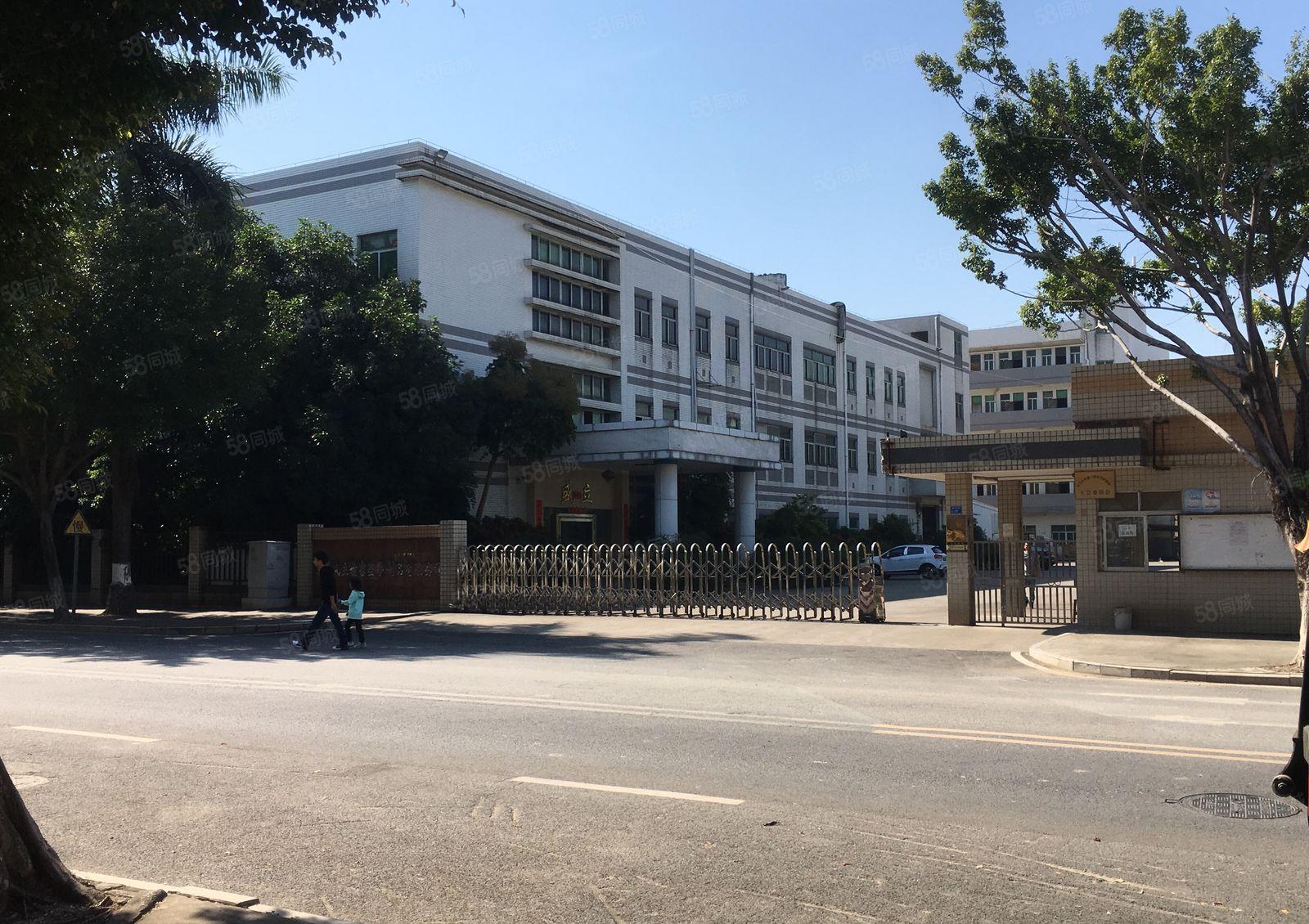 东坑镇标准厂房出租一楼1200平可办环评，带有航车办公室