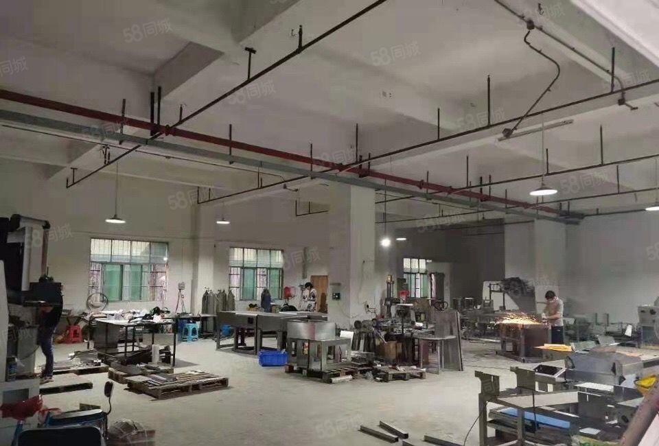 东坑镇精选一楼厂房出租500平方低价招租
