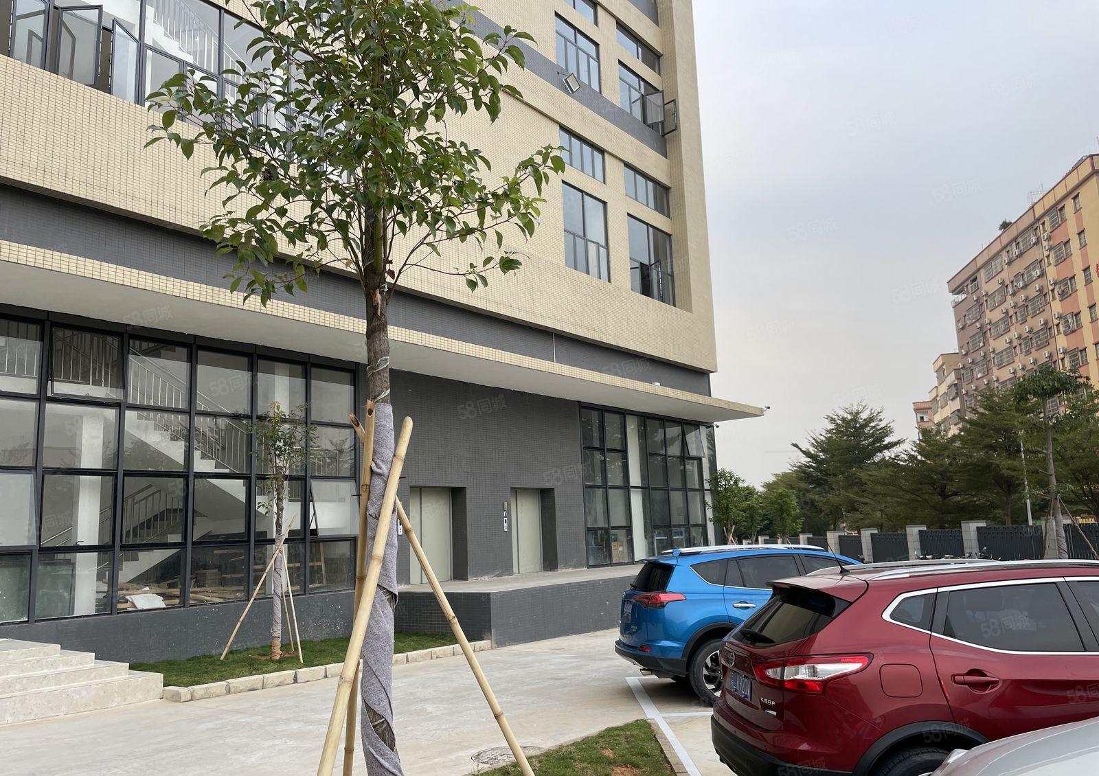 东坑镇工业园标准厂房出租三楼5912平可办环评丙二类消防