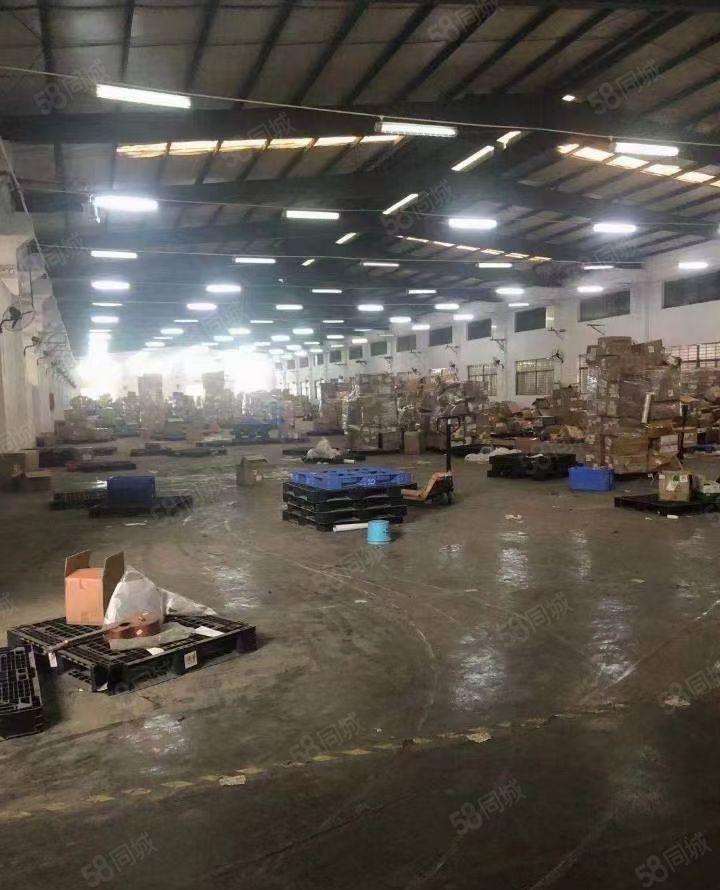 东坑镇原房东独院单一层钢构2000平米厂房交通便利好招工