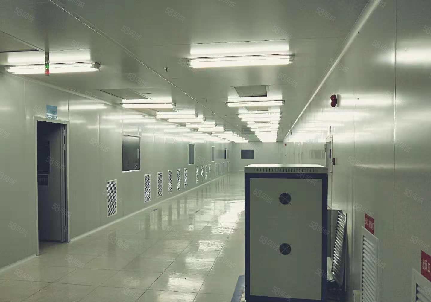 东坑 科技路附近 高新科技园3万平方火爆招商 可分租