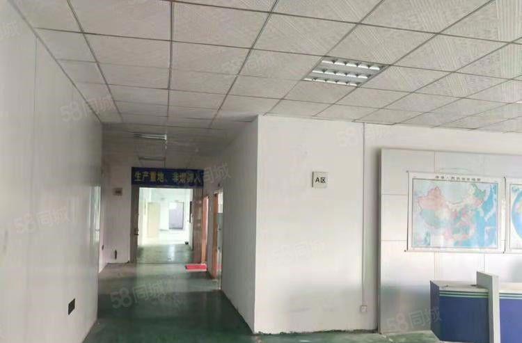 东坑 全新厂房 共3800平方 急租 带装修 水电线路齐全