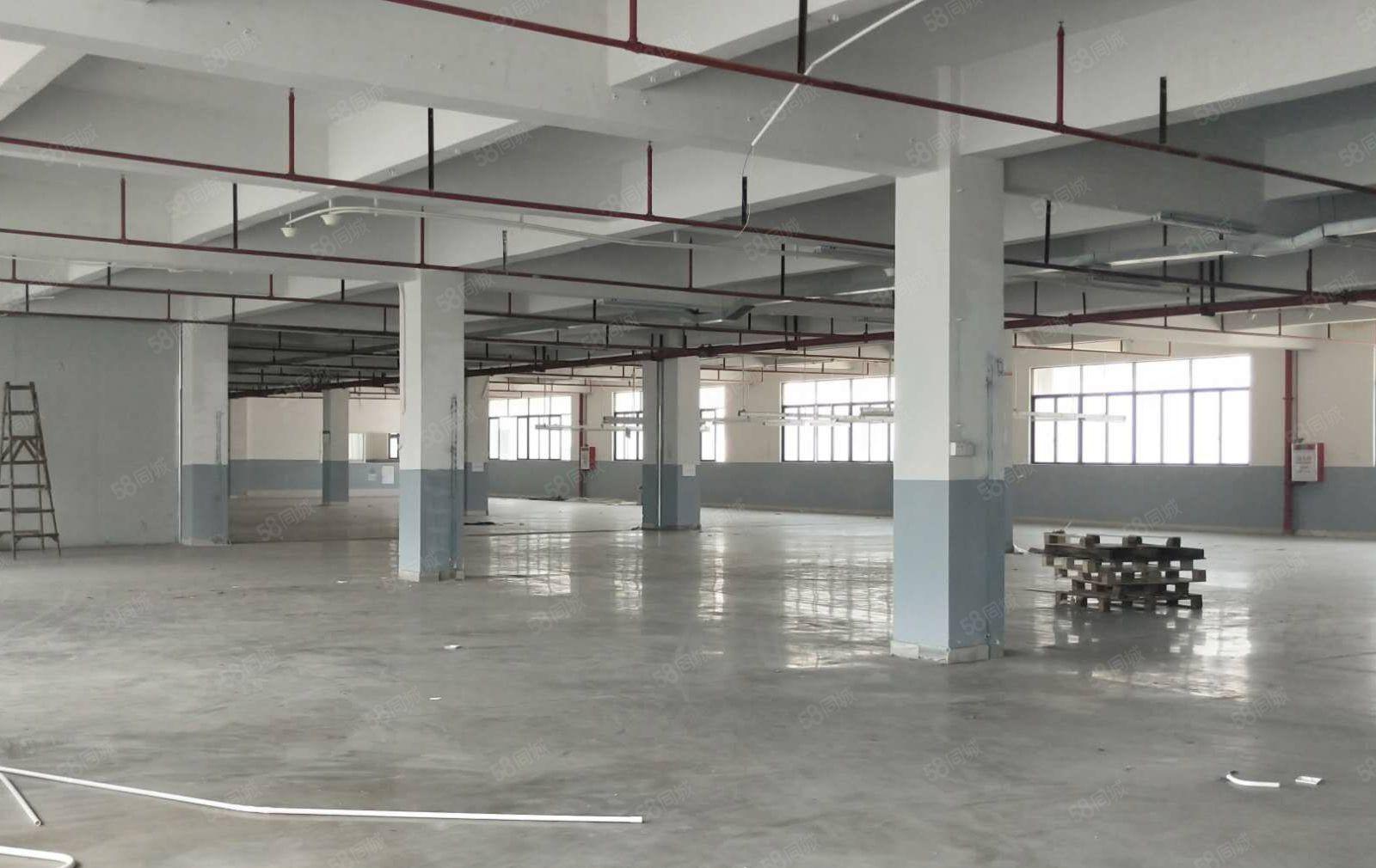 独门独院厂房1~2楼5250平方，空地大形象好可分租