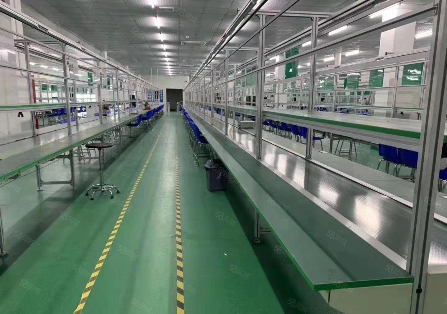 东坑镇本地房东独院厂房5000平方招租水电齐全带装修