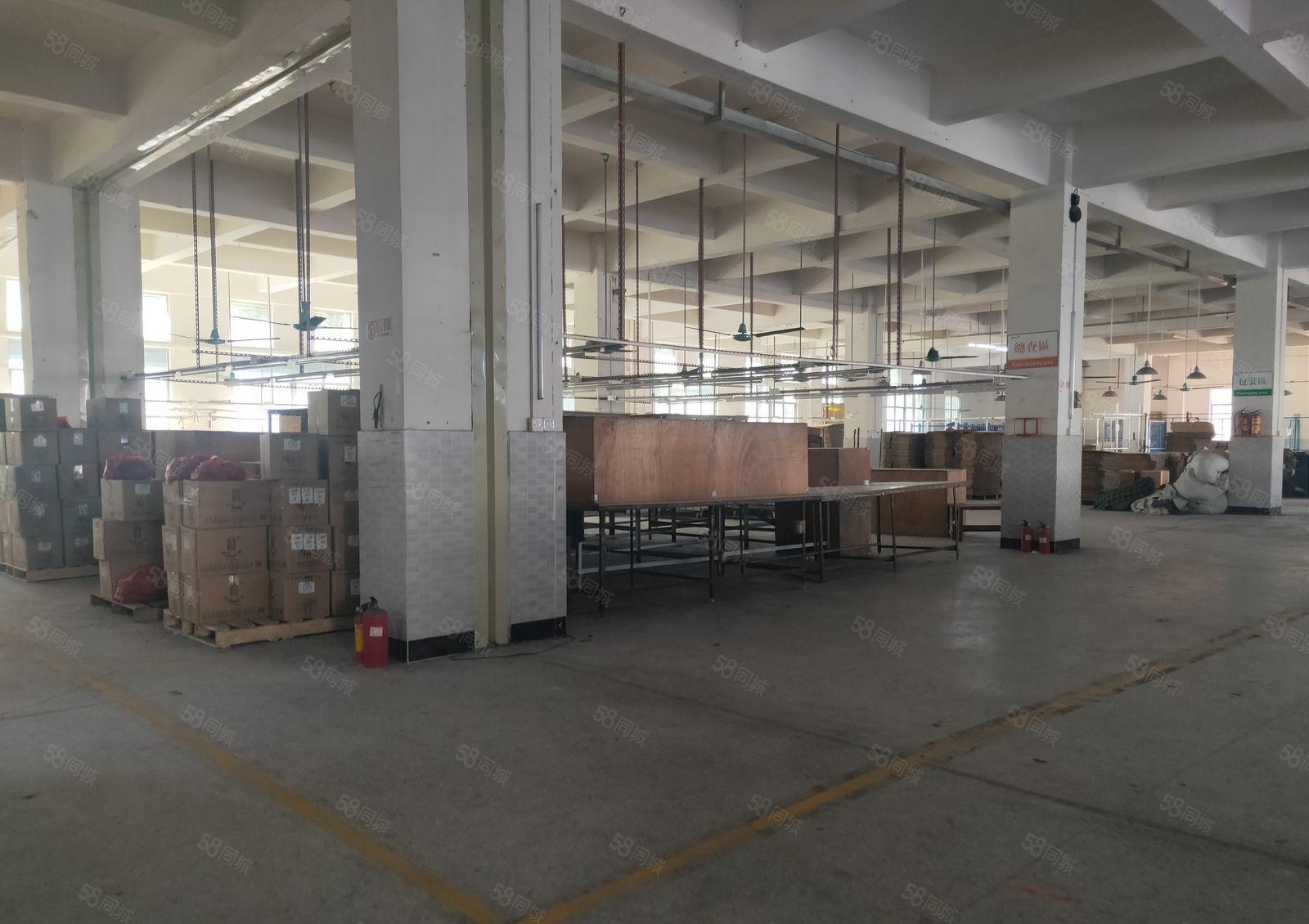 500平方起租东坑镇低价独院标准厂房出租8000平方证件齐全