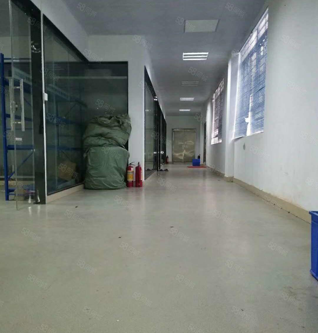 东坑 骏达工业园 一楼 厂房 800平方,价格便宜，急租!