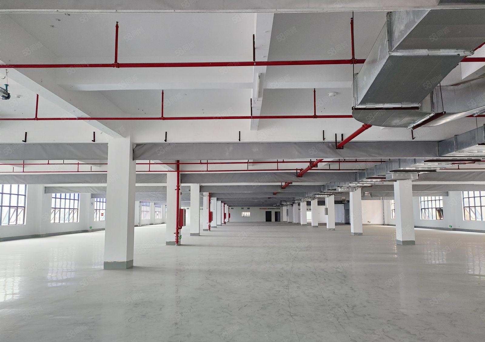 东坑镇原房东10块打包特价红本厂房，周边园区配套高新企业