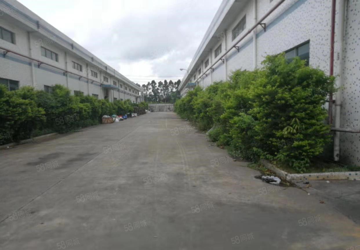 东坑 平谦国际工业园 钢构 厂房出租2000平方，8米高