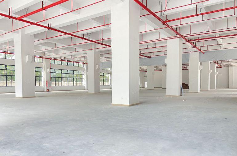 东坑 原房东 全新标准厂房 带卸货平台 带牛角 低价10元