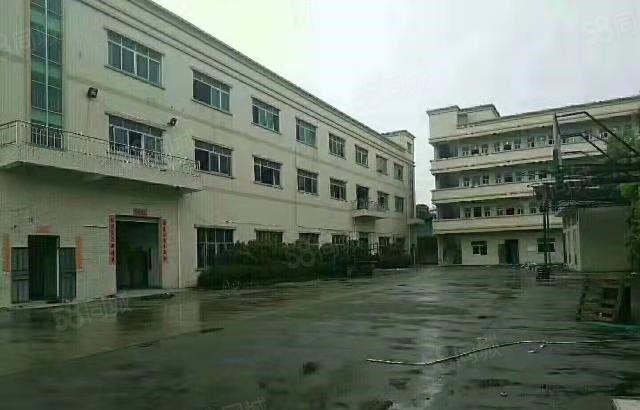 东坑 全新厂房 共3800平方 急租 带装修 水电线路齐全