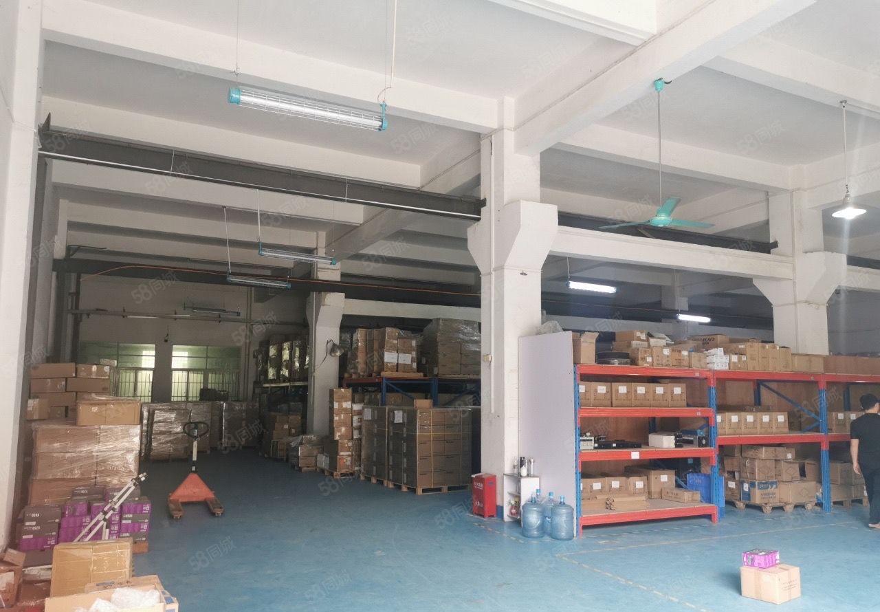 东坑镇工业园标准厂房出租一楼1000平精装修带地坪漆高6.8